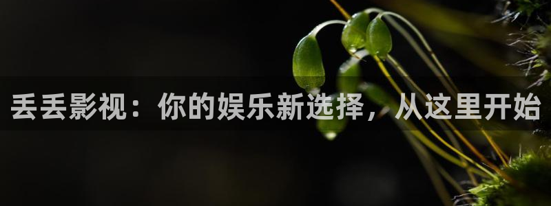 元宇宙轨道影院